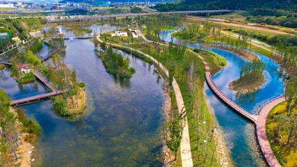 踏青观水展巾帼风采，河湖中心三八节公园观光活动纪实