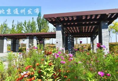 面积超400亩！通州又添休闲新地标，城市绿肺开门迎客