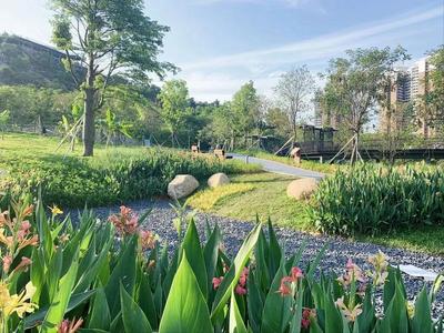 集生态种植、科普体验、观光游乐于一体 西丽生态公园打造儿童友好游学新路径