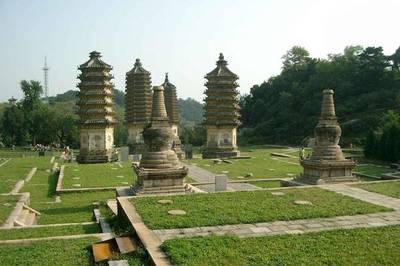 探秘京北绿色宝库——大杨山国家森林公园观光服务全攻略