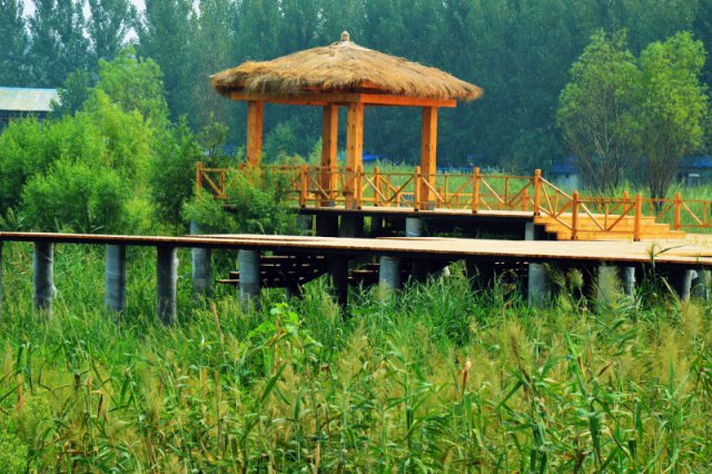 自驾玩转河南，帐篷露营好去处——这些公园露营地你打卡了吗？