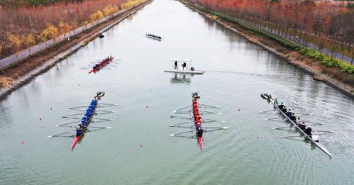 梦享公园 迪士尼旁的十二时辰慢生活新地标