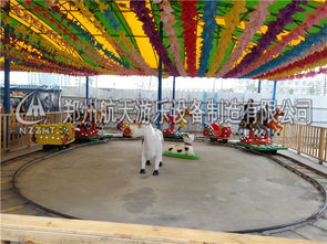 航天游乐设备厂家特供欢乐跑马 公园观光服务的全新体验